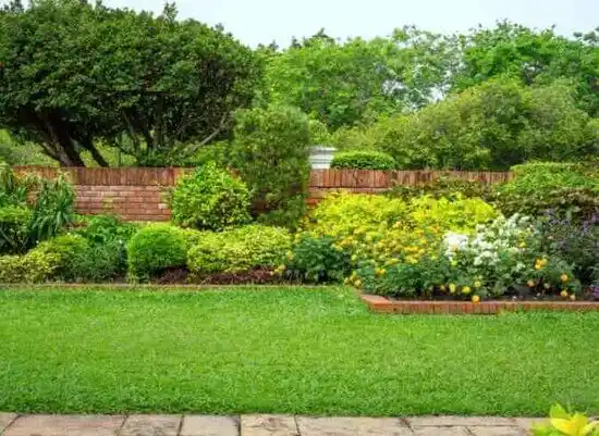 landscaping services Texico